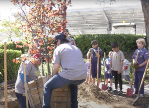 Two city workers plant a tree with red leave as in a park as three children with shovels watch.